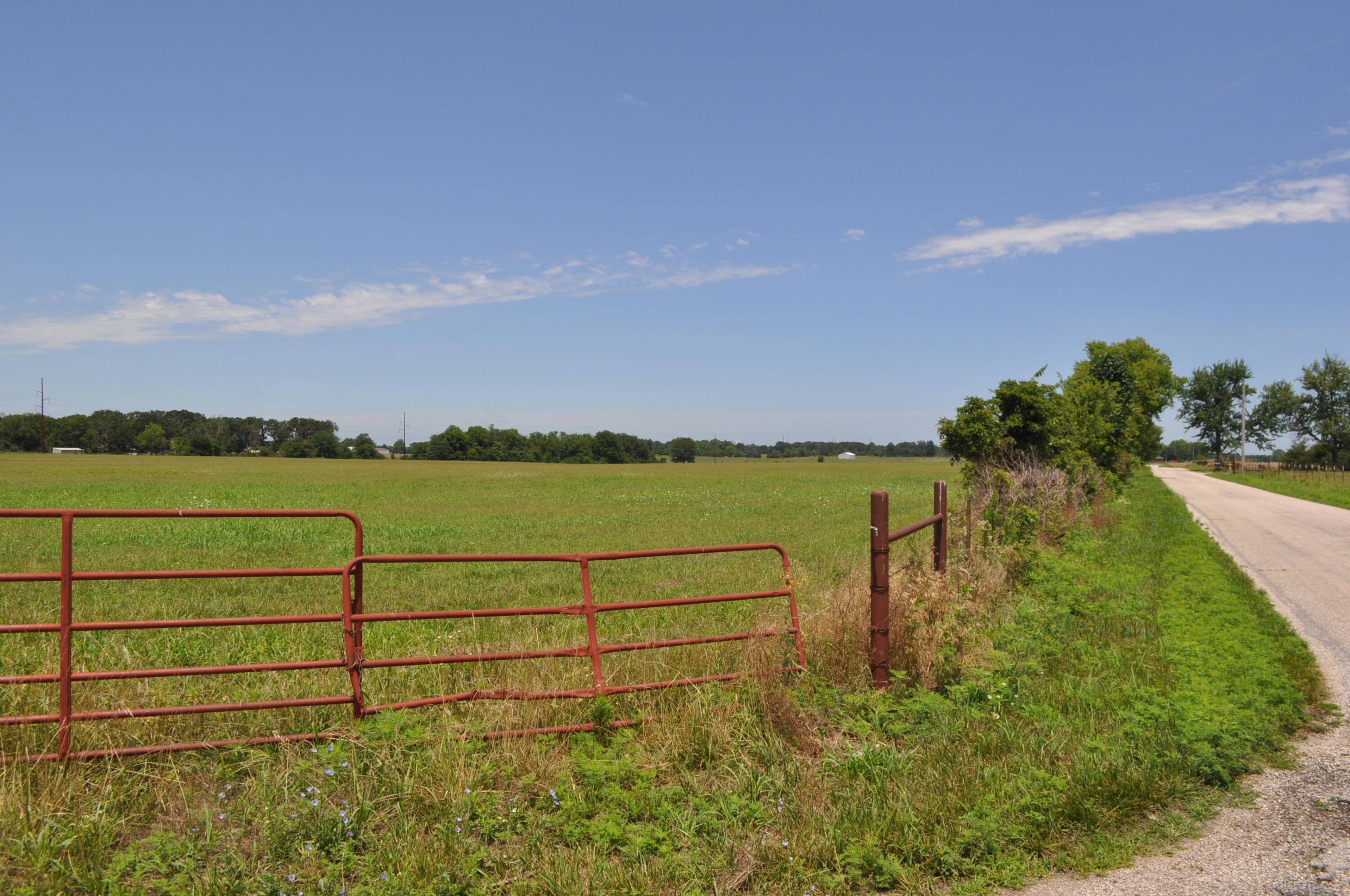 Rogersville, MO 65742,Tract B Delzell Woods RD