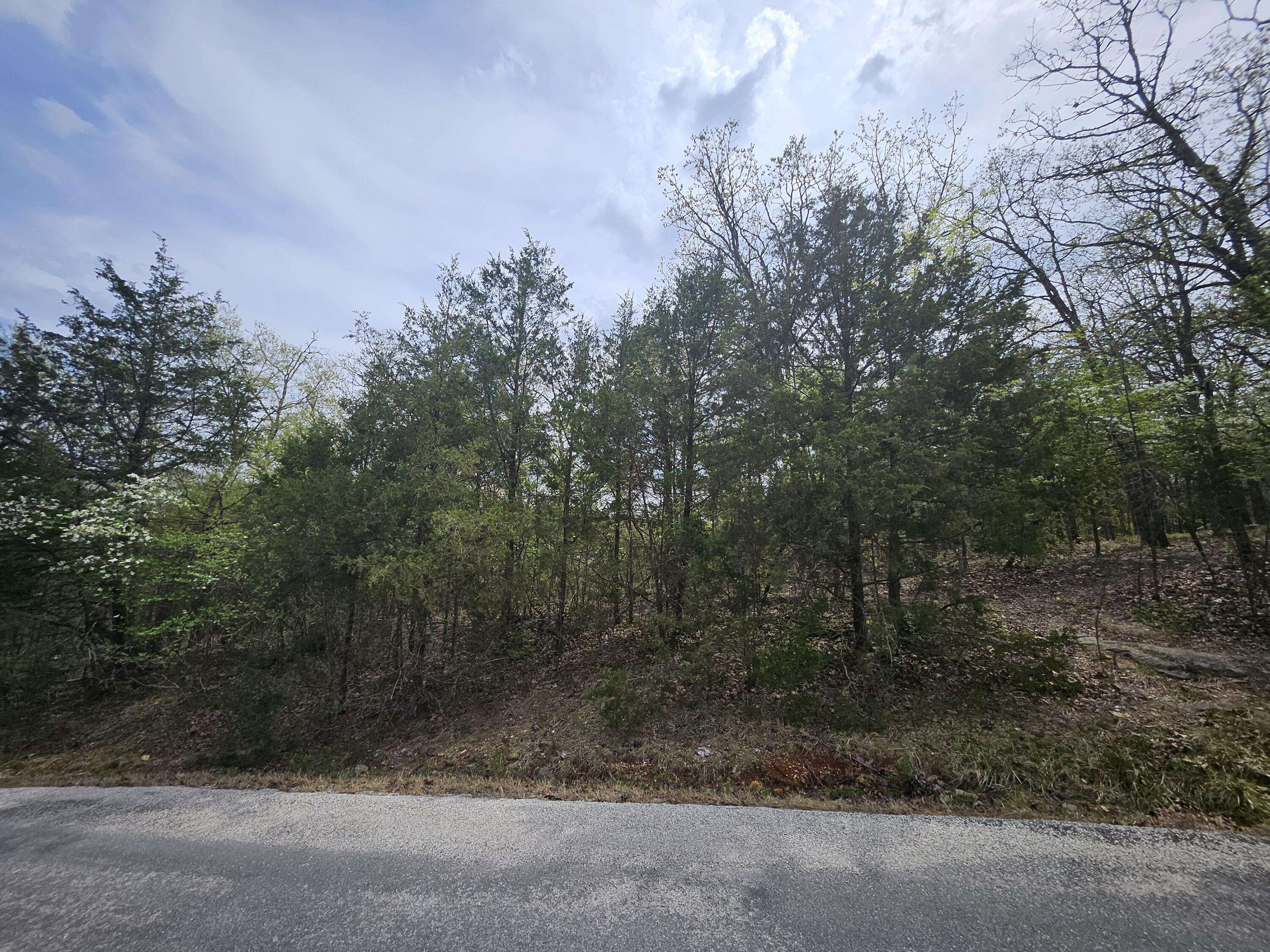 000 Guillian DR, Branson, MO 65616