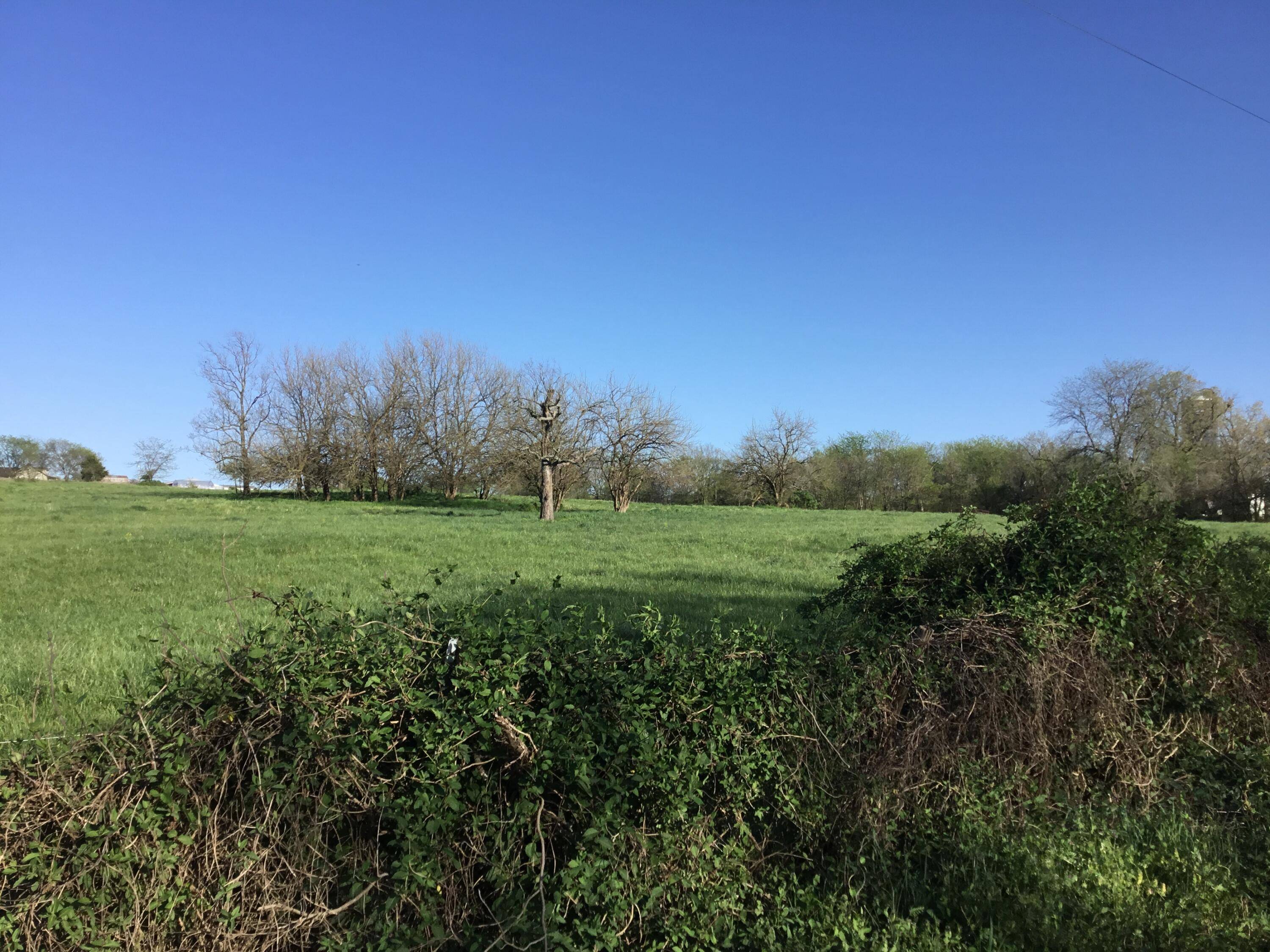Hartville, MO 65667,000 Loring Road
