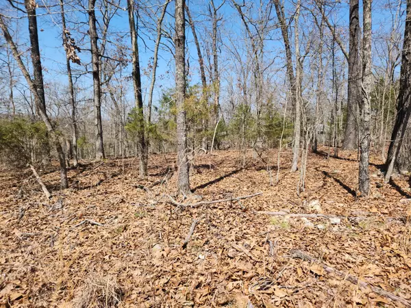 Cedar Creek, MO 65627,000 Powell Blvd #Lot 8
