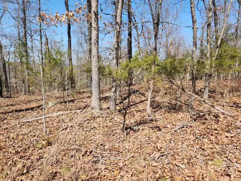 000 Powell Blvd #Lot 8, Cedar Creek, MO 65627