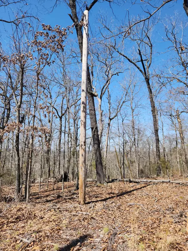 Cedar Creek, MO 65627,000 Powell Blvd #Lot 9