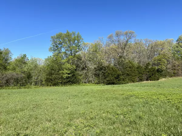 Willow Springs, MO 65793,3604 County Road 4990