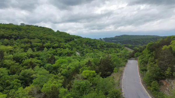 Hollister, MO 65672,000 Syler Circle Lot 185 &186