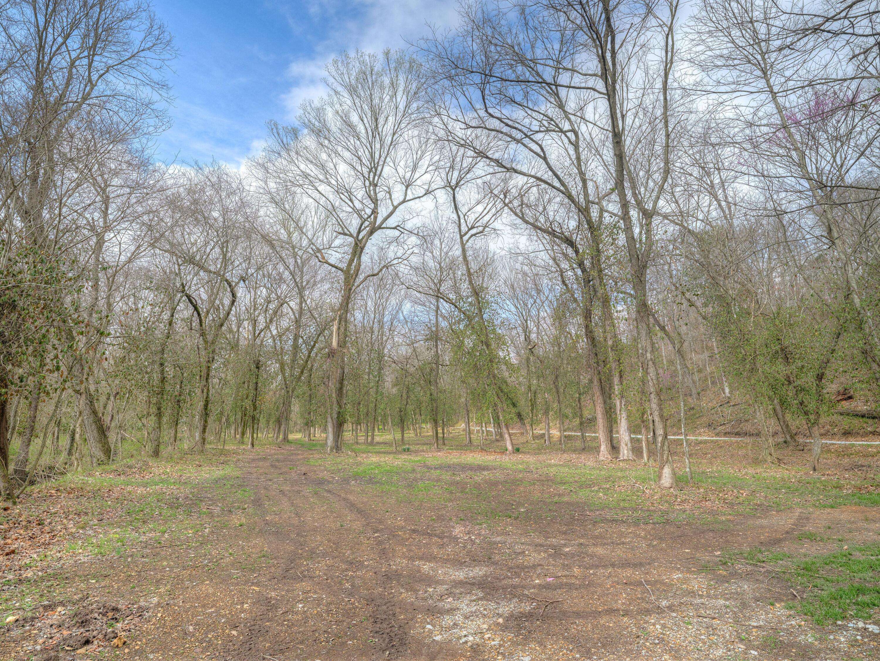 636 Wilderness WAY, Anderson, MO 64831