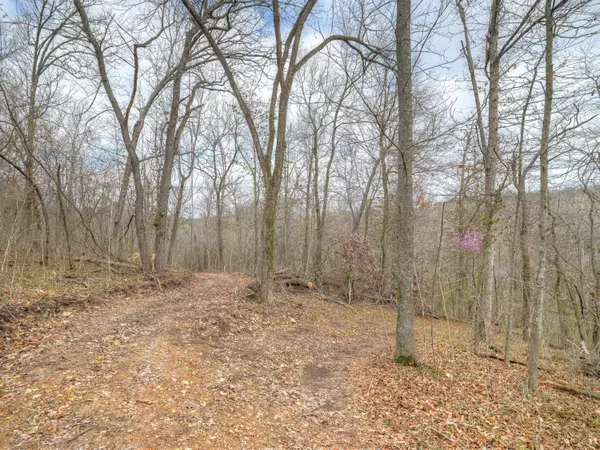 Tract 3 8.90 Acres Wilderness Way, Anderson, MO 64831