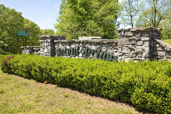 Cape Fair, MO 65624,Lot 59 Walnut Springs DR