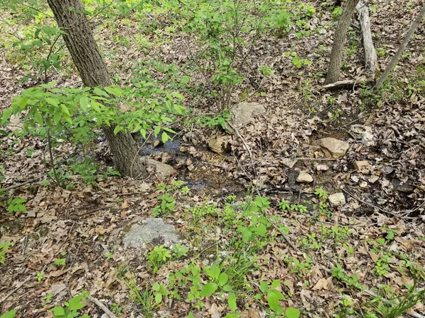 Falcon, MO 65470,000 Highway Ad