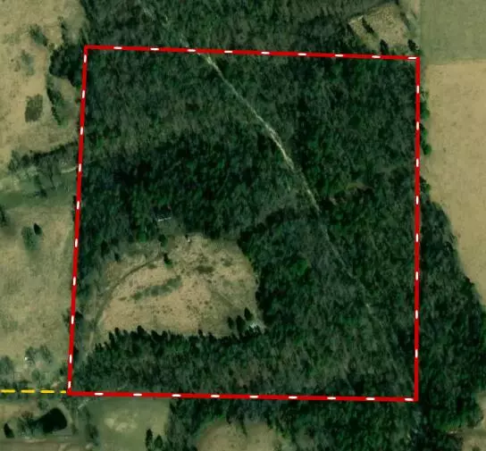 Cabool, MO 65689,12109 County Road 274-A