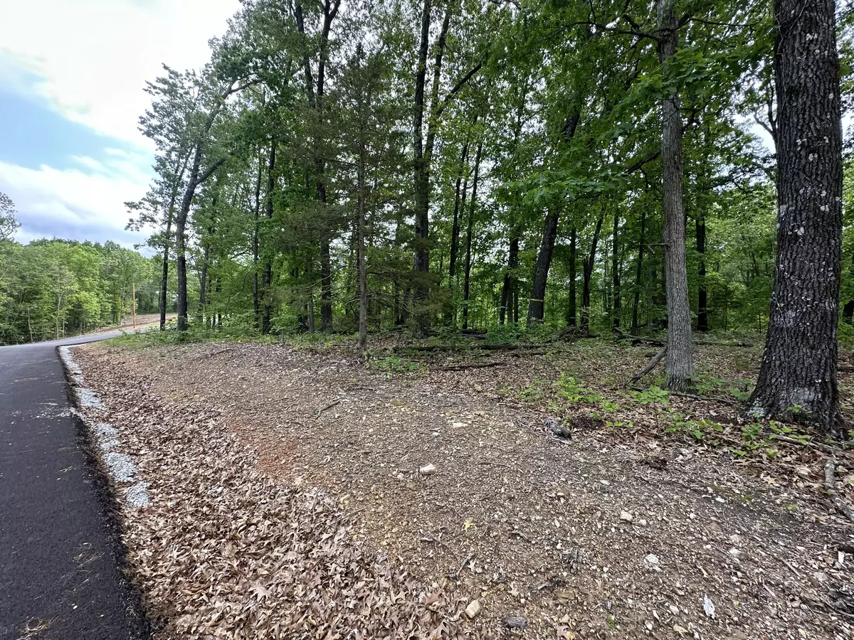 Highlandville, MO 65669,Lot 58 Raspberry RD