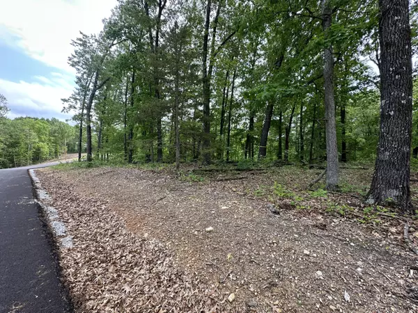 Lot 58 Raspberry RD, Highlandville, MO 65669