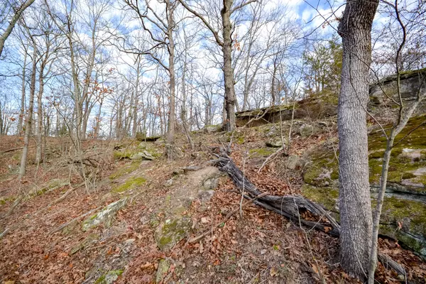 Sheldon, MO 64784,1000 NE 100th RD #South Tract