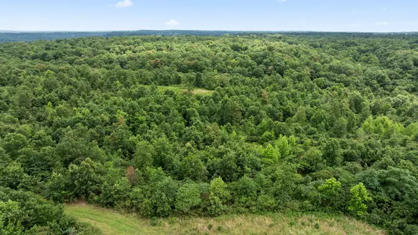 Noel, MO 64854,22.76 Acre Styles RD