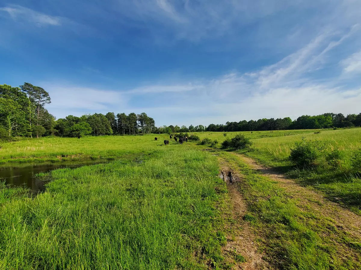 Raymondville, MO 65555,19825 Friendship Drive DR