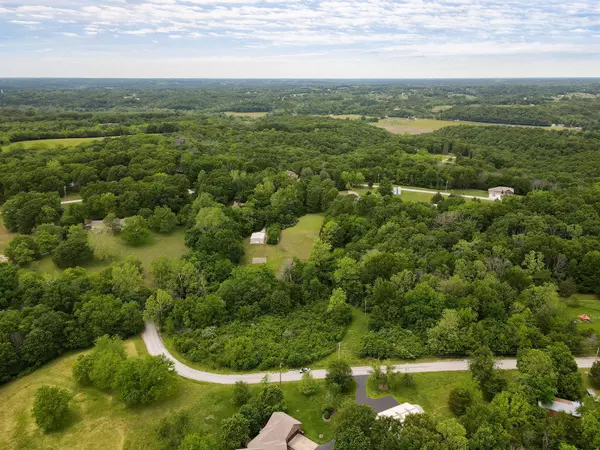Ozark, MO 65721,000 Plumtree DR