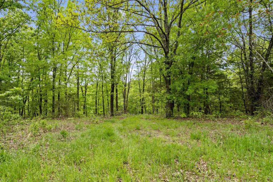 Lot 8 Gemstone Acres, Kimberling City, MO 65686