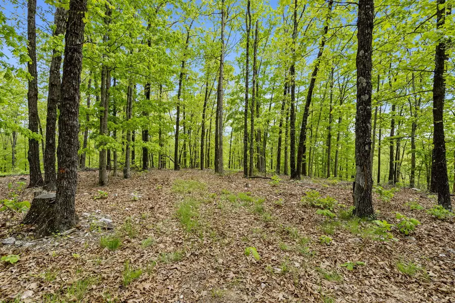 Lot 14 Sapphire TER, Kimberling City, MO 65686