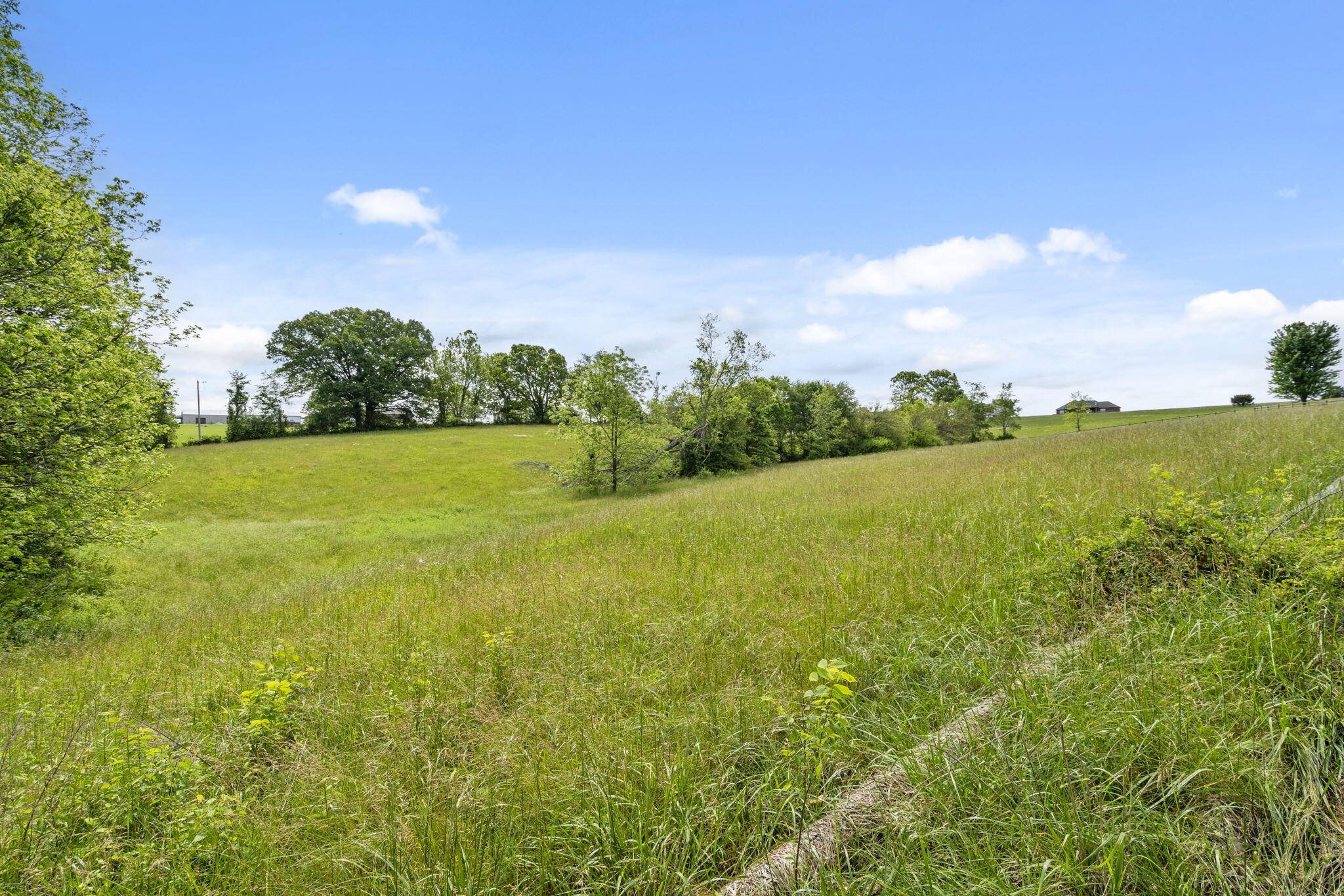 Ozark, MO 65721,000 Spring Branch RD