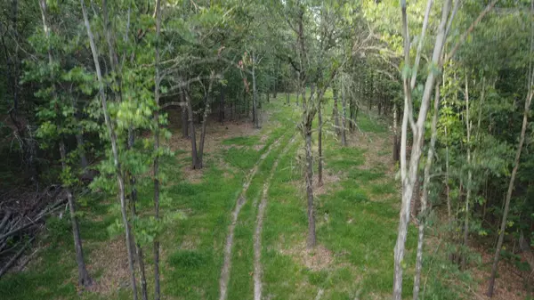 Ava, MO 65608,000 County Road Ak-541