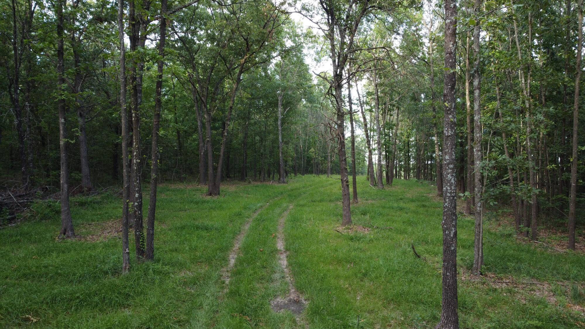 Ava, MO 65608,000 County Road Ak-541