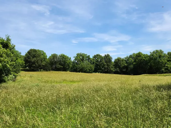 Walnut Grove, MO 65770,Lot 9 N Farm Road 61