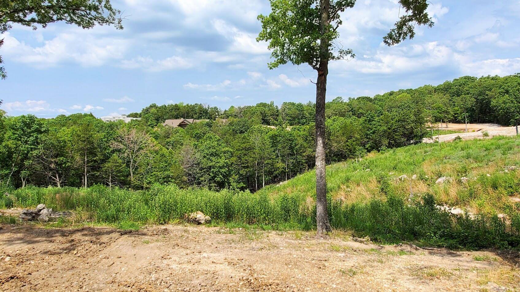 Kimberling City, MO 65686,000 Lot 77 Summer Breeze