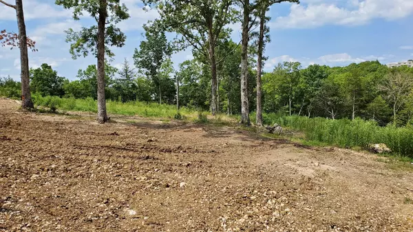 Kimberling City, MO 65686,000 Lot 77 Summer Breeze