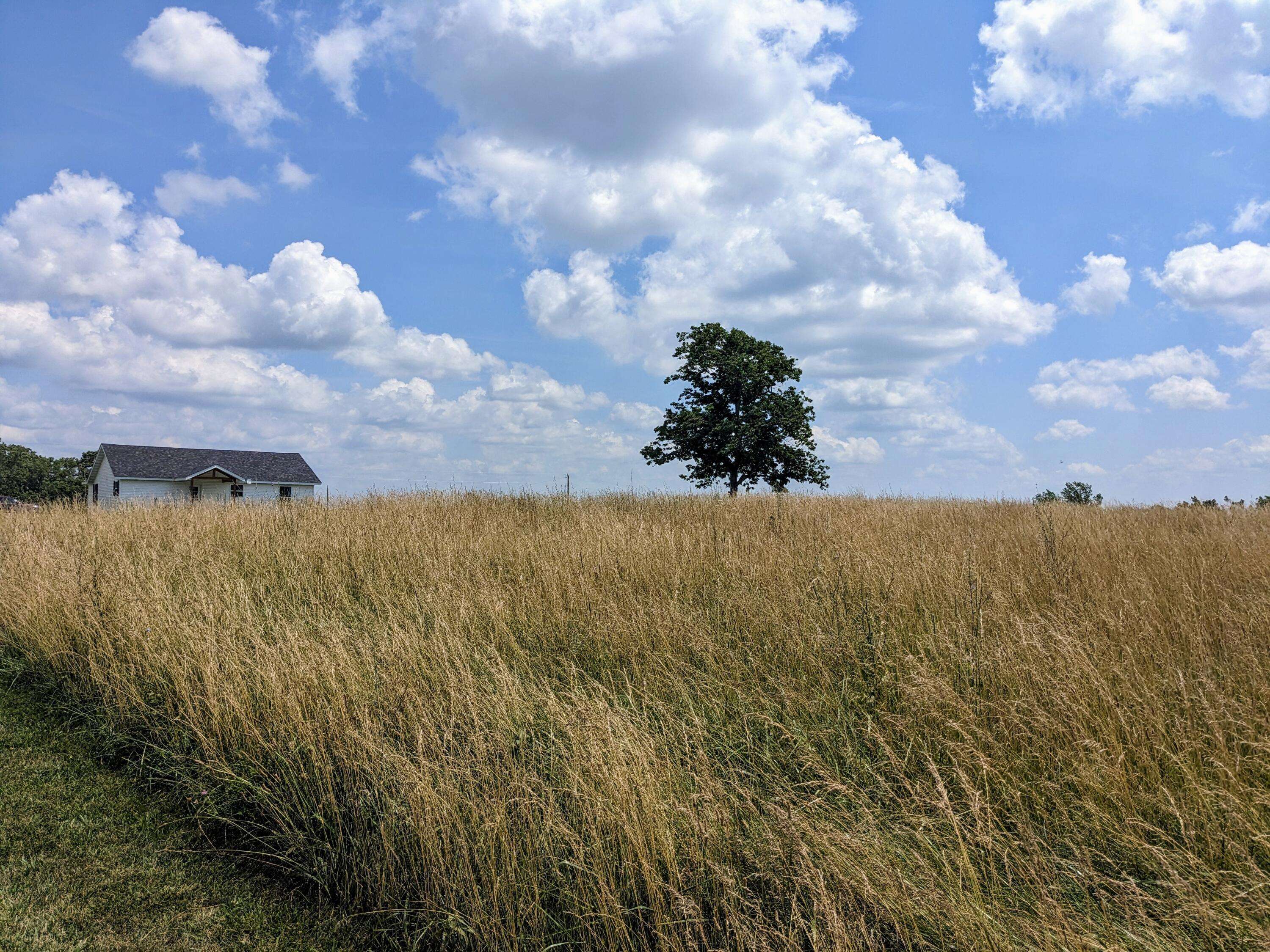 Mansfield, MO 65704,2563 Mountain Road