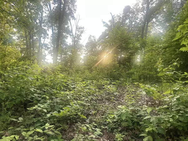 Washburn, MO 65772,000 Tbd Farm Road 1010