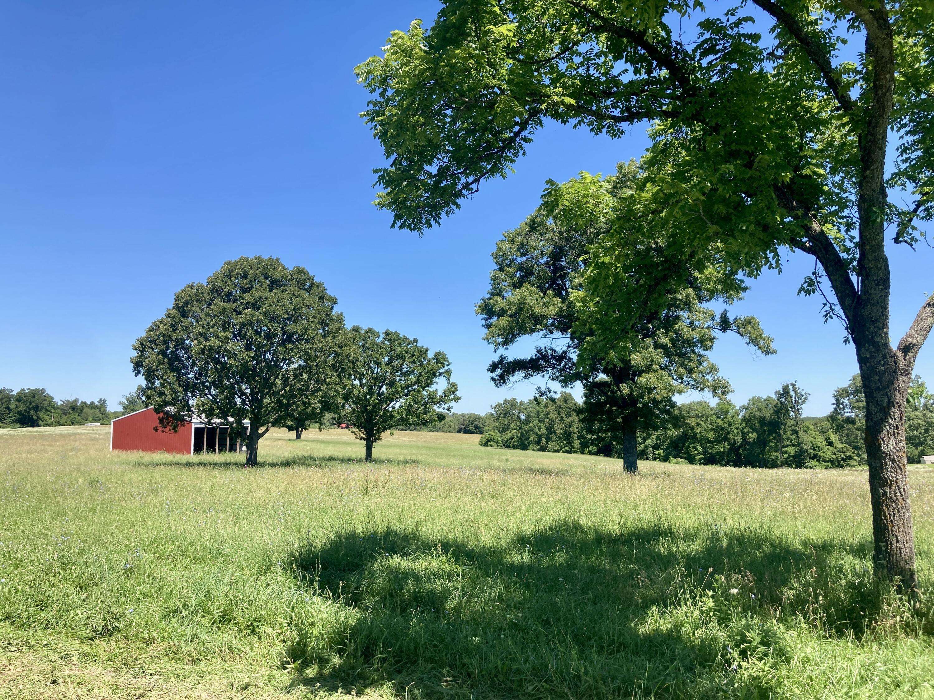 Mansfield, MO 65704,3148 Clark LN
