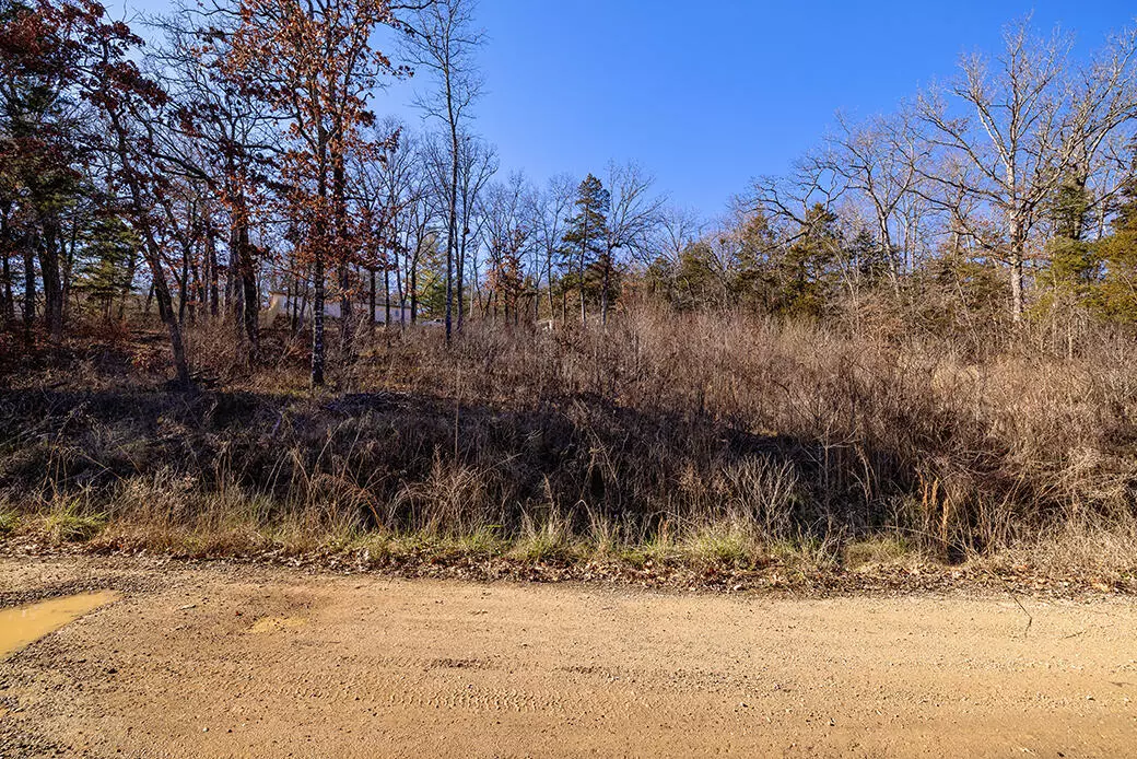 Merriam Woods, MO 65740,Lot 15 Meadow LN