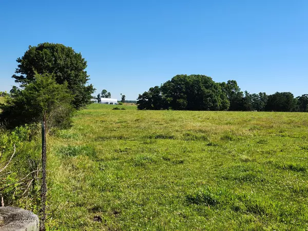 Fordland, MO 65652,Tract 2 State Highway U