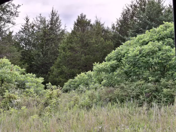 Urbana, MO 65767,00 Thomas Creek Road