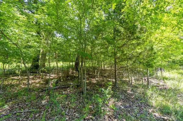 Branson West, MO 65737,000 State Hwy Dd Lot 28 Blakewood