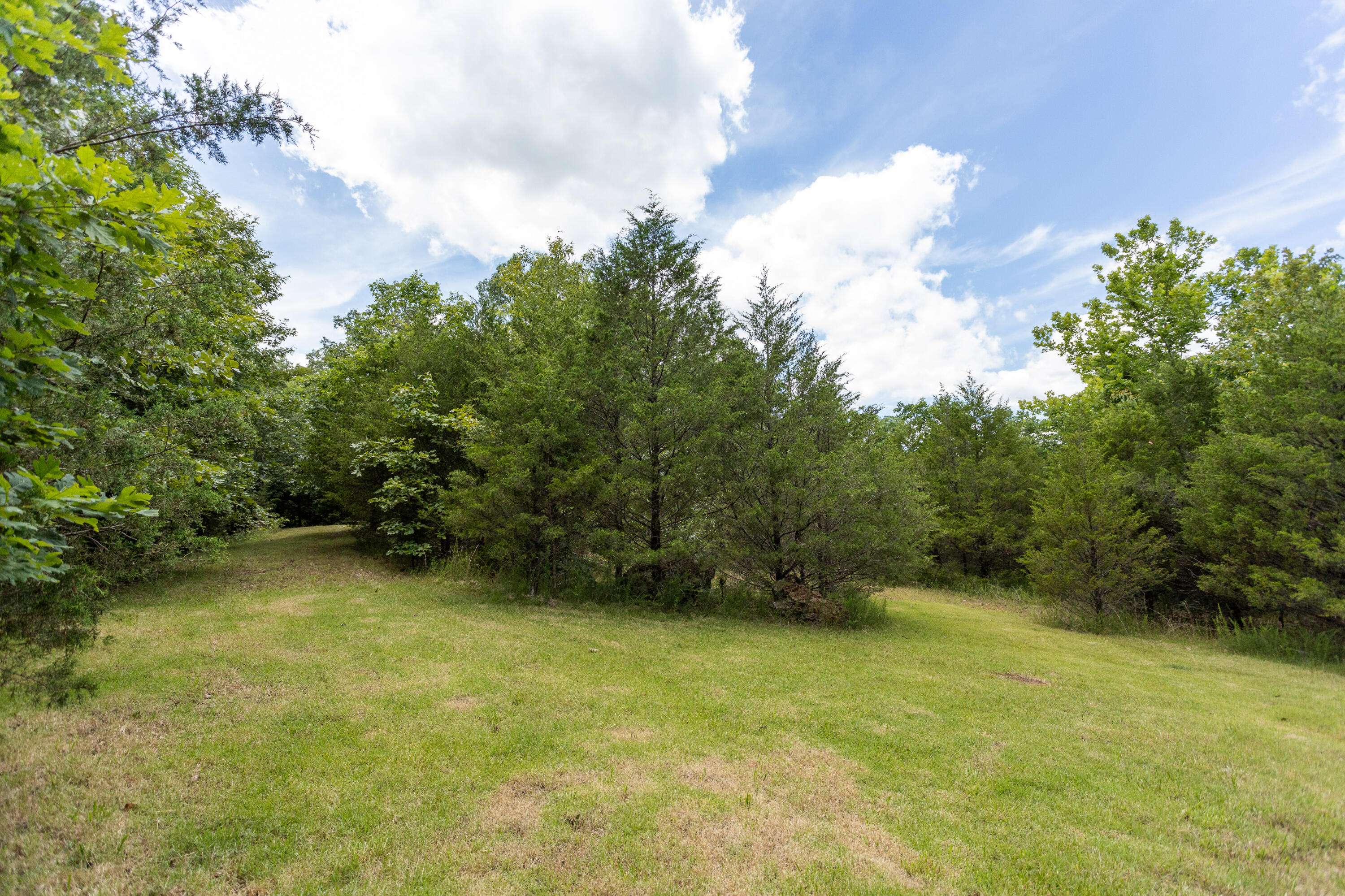 Tecumseh, MO 65760,31593 Highway 160