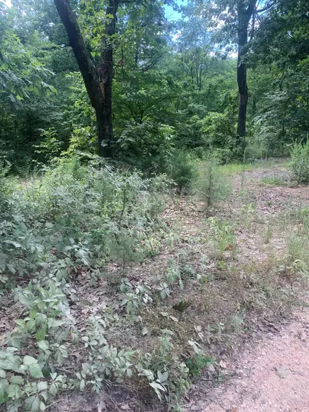 223 Foxtrot RD, Pineville, MO 64856