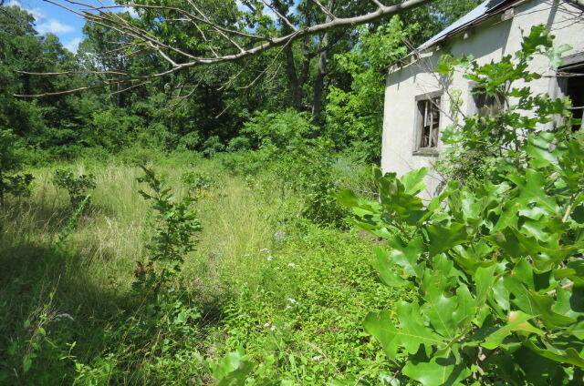 Hartville, MO 65667,7520 Hwy 5
