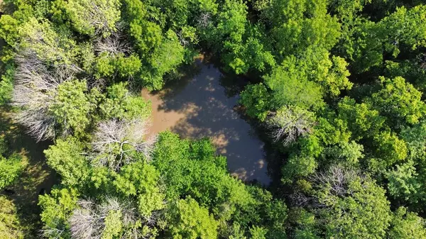 Aldrich, MO 65601,000 S 11th RD