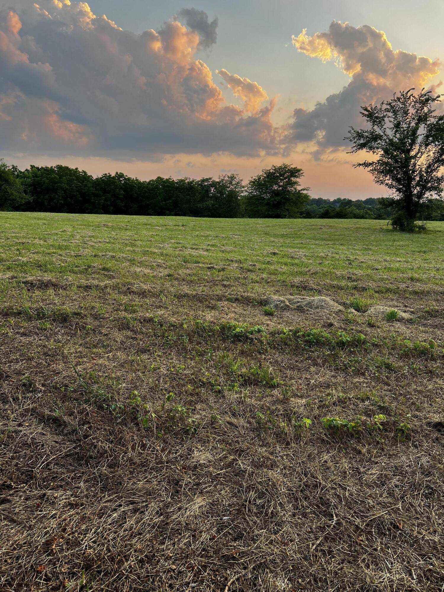 Sparta, MO 65753,000 Leyland DR