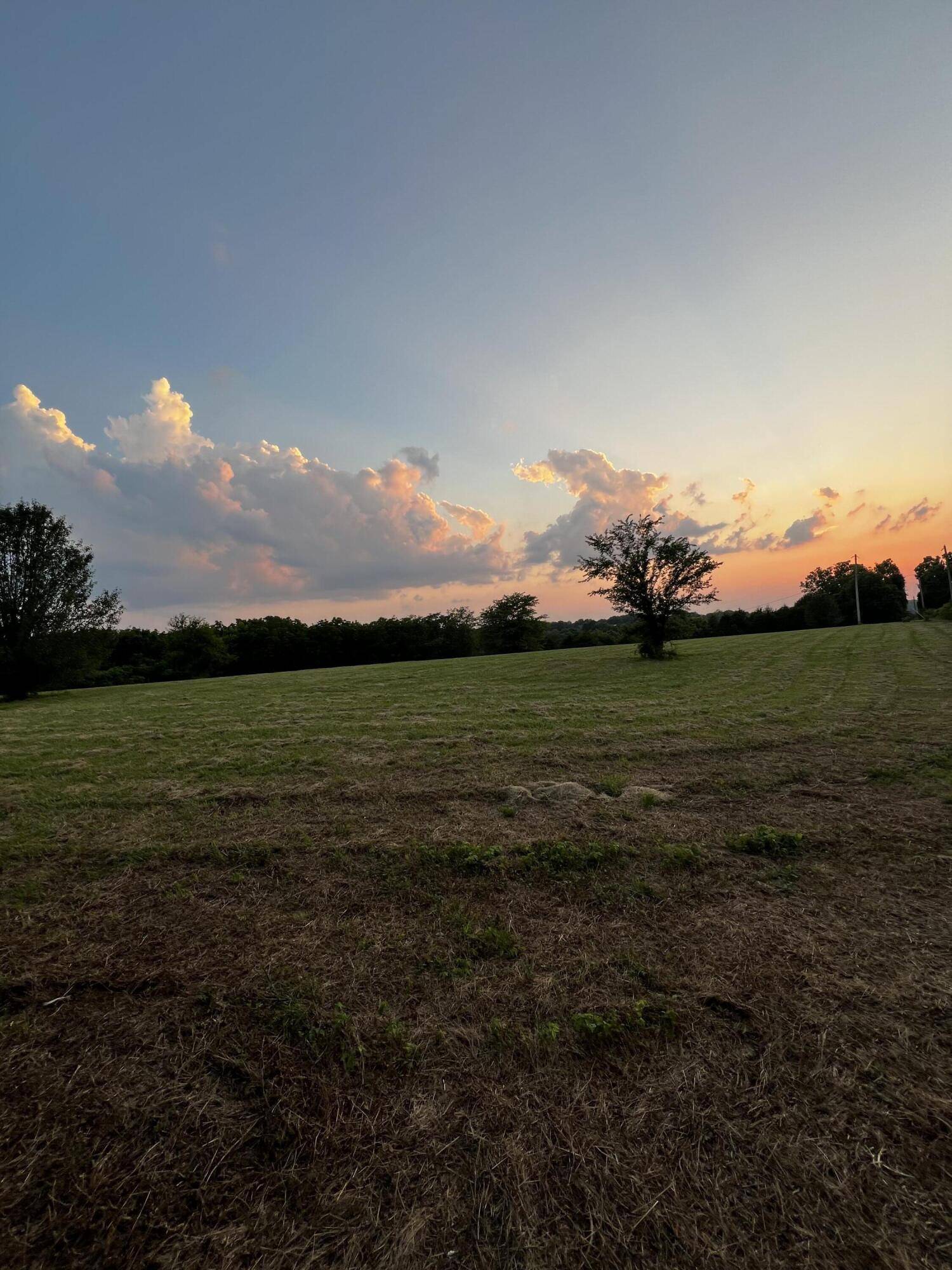 Sparta, MO 65753,000 Leyland DR