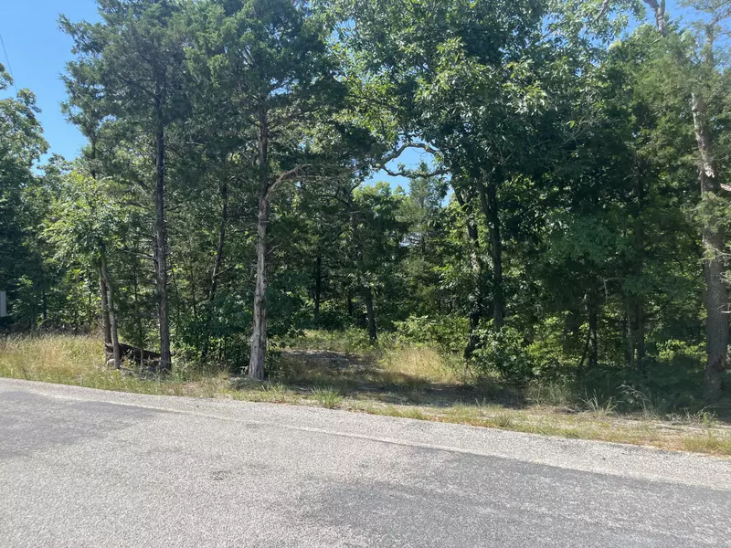 3387 Pine Top RD, Kirbyville, MO 65679