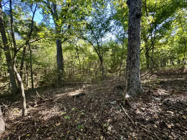 Springfield, MO 65802,2548 N Arrow LN