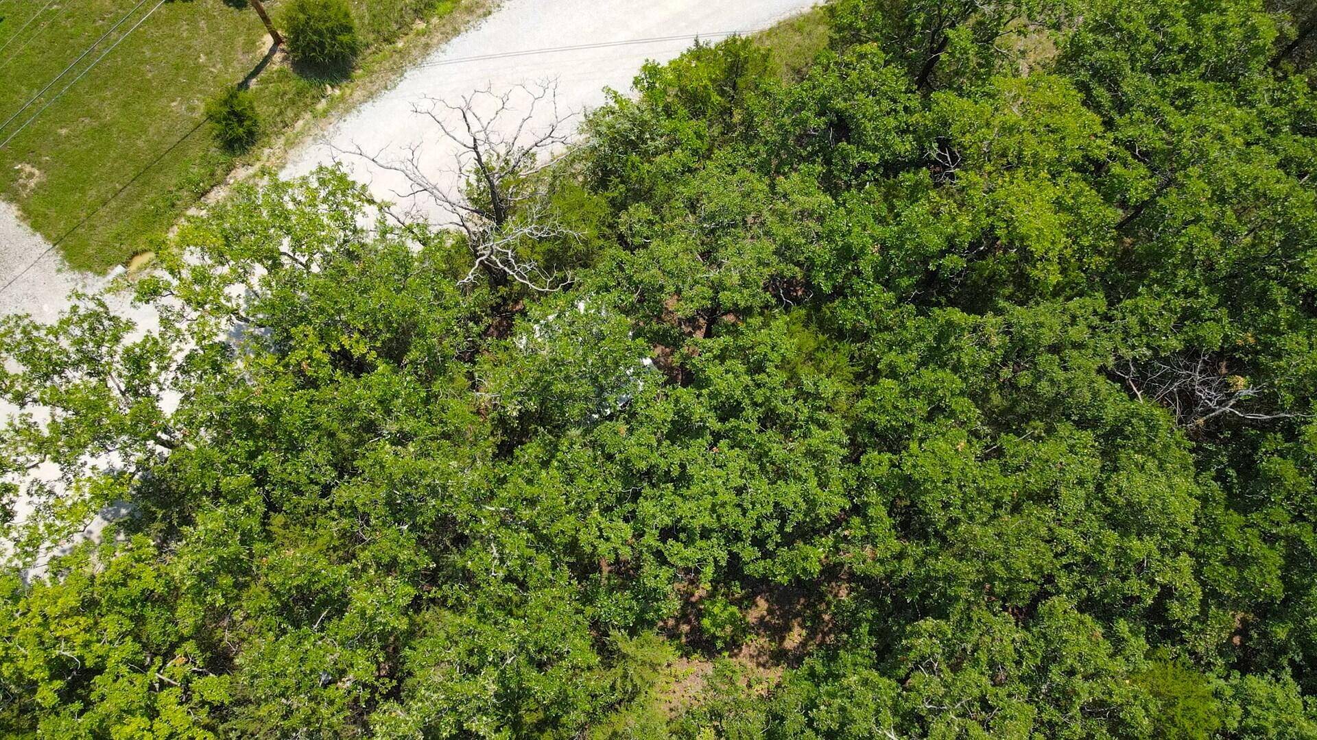 Wheatland, MO 65779,22606 County Road 205l