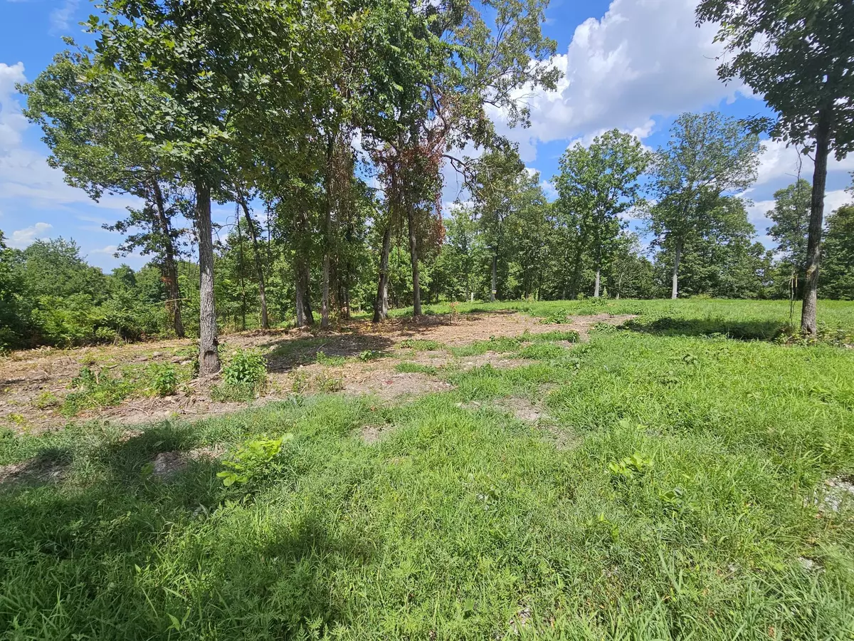 Anderson, MO 64831,Tract 4 B Creekwood LN