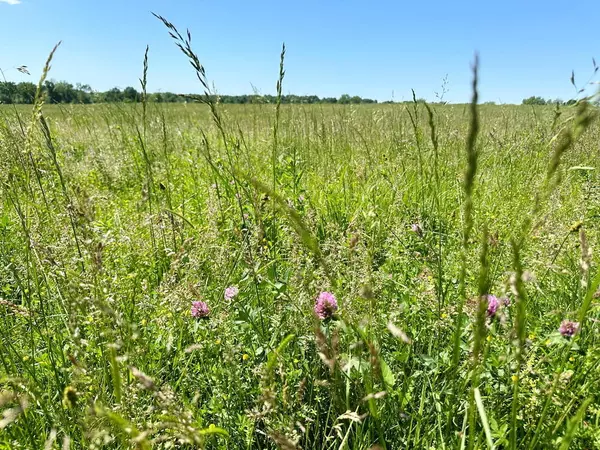 Nevada, MO 64772,Tbd.4 54 HWY