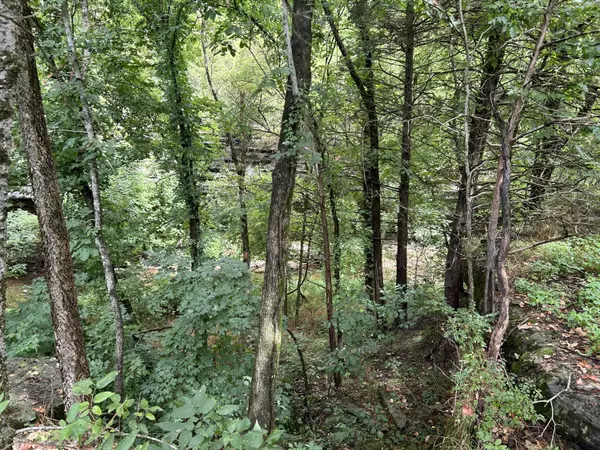 Stella, MO 64867,000 Fairview Road (Bethpage)