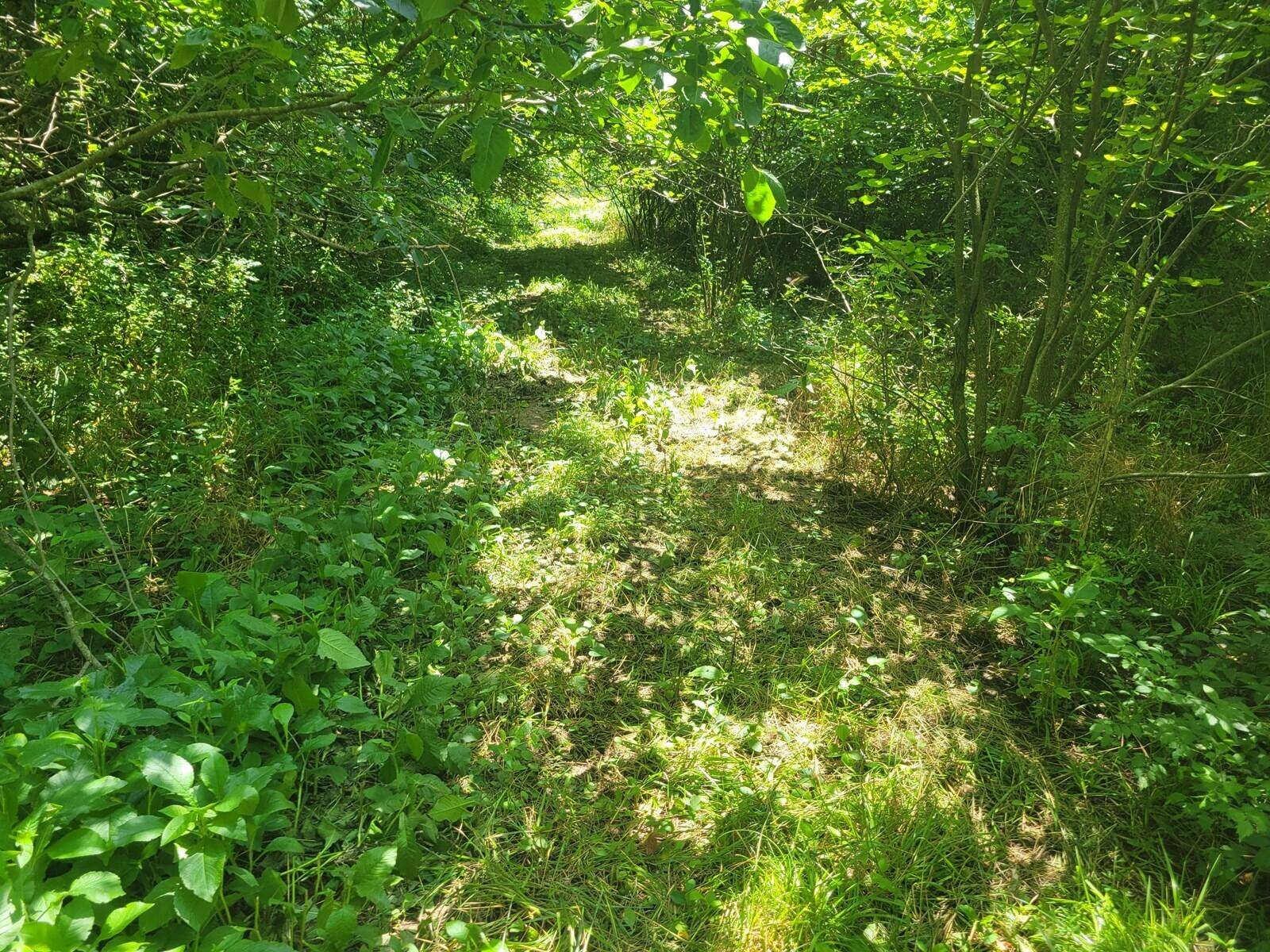 Jerico Springs, MO 64756,507 Mill ST