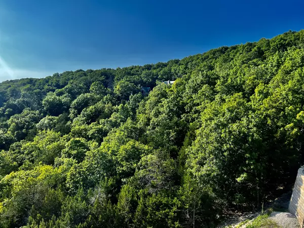 Galena, MO 65656,000 Jackson Hollow RD