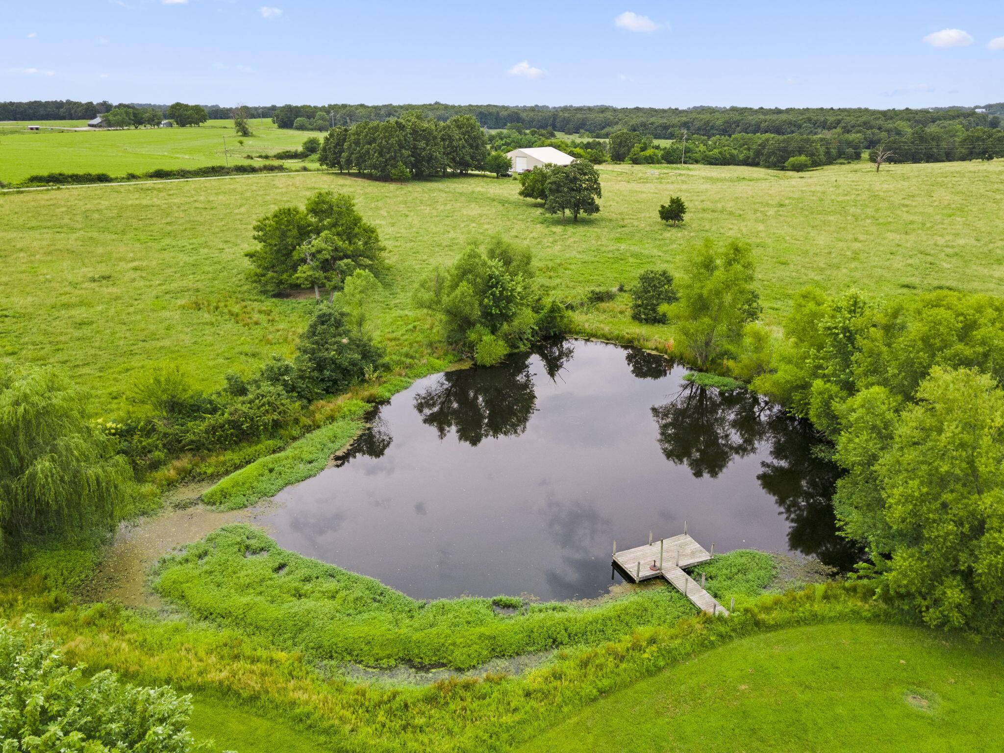 Marshfield, MO 65706,360 Sand Springs RD