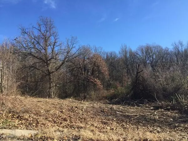 Lot 47 Sally Ann AVE, Neosho, MO 64850